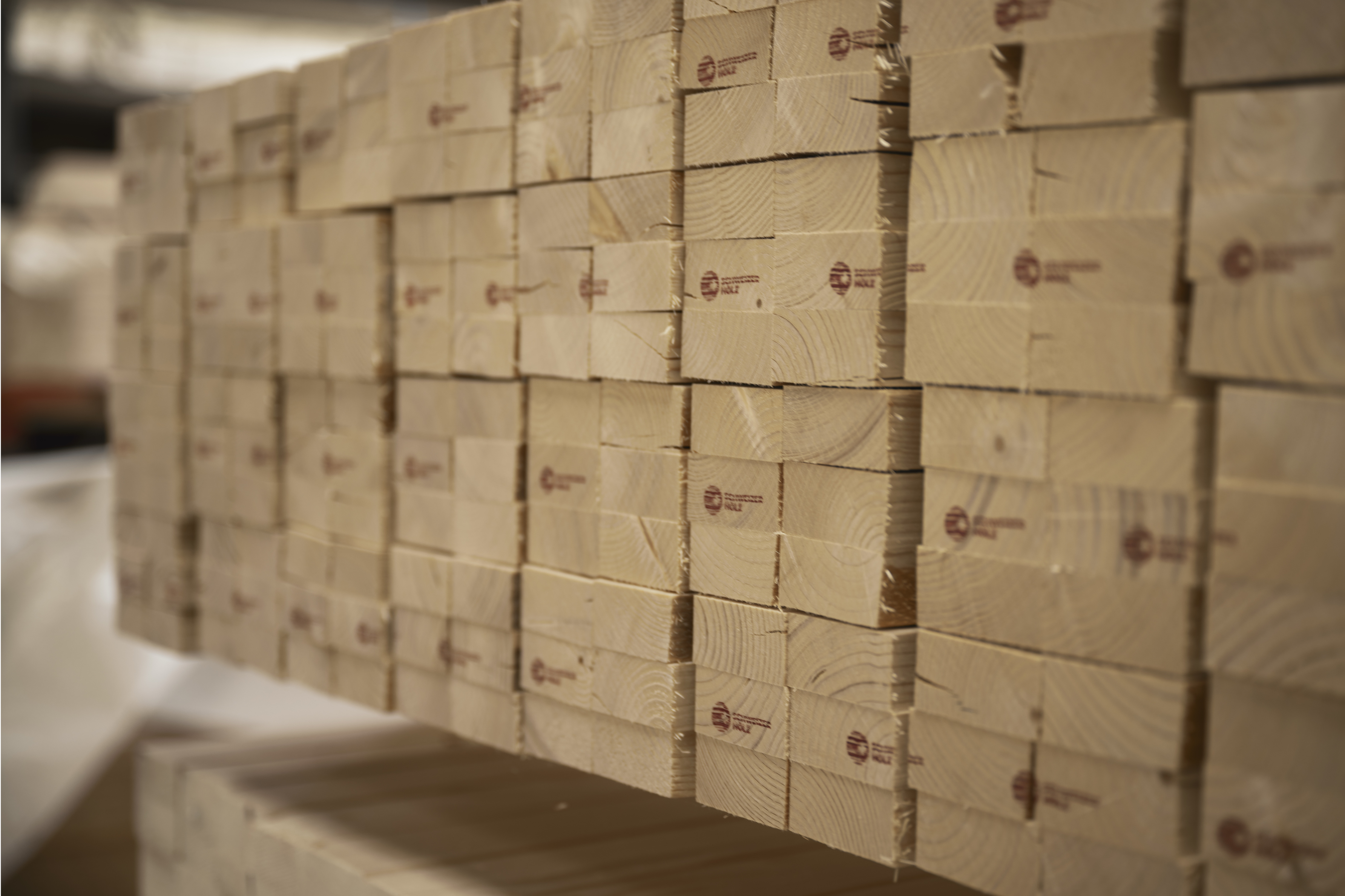 02 home header Holz